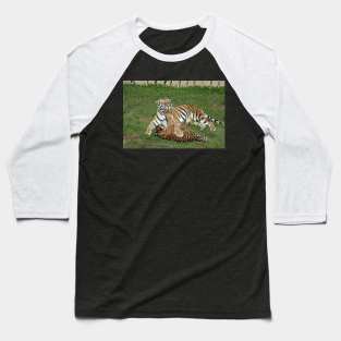 Tigers Baseball T-Shirt